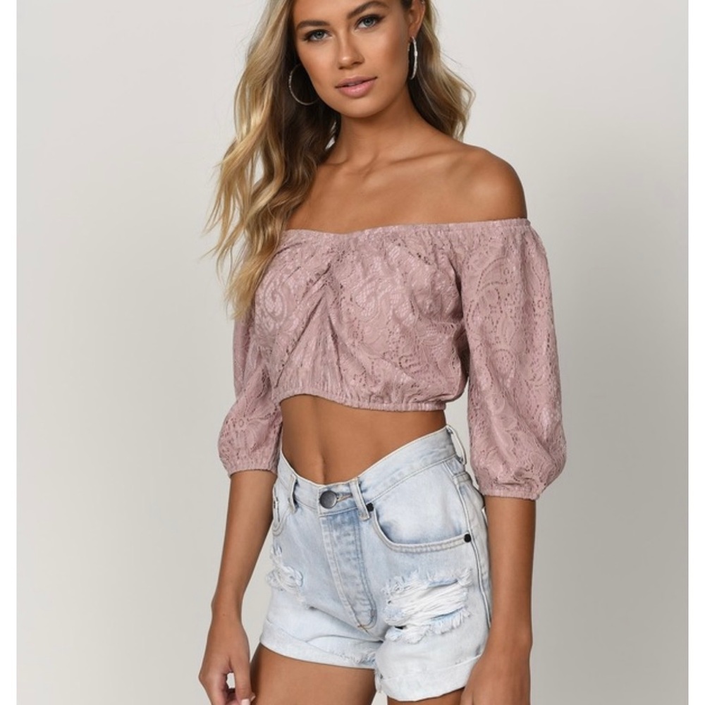 NEW Tobi Same Old Love Dusty Rose Cropped Top Lace Sz M